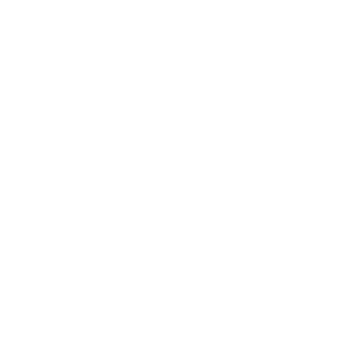 New World Alliances logo